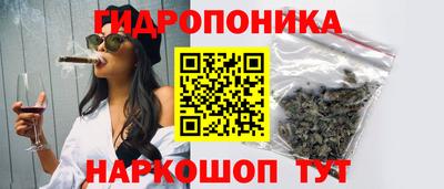 гашик Бузулук