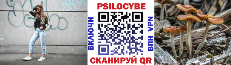 MEGA зеркало Заволжье дарк нет как зайти Галлюциногенные грибы GOLDEN TEACHER