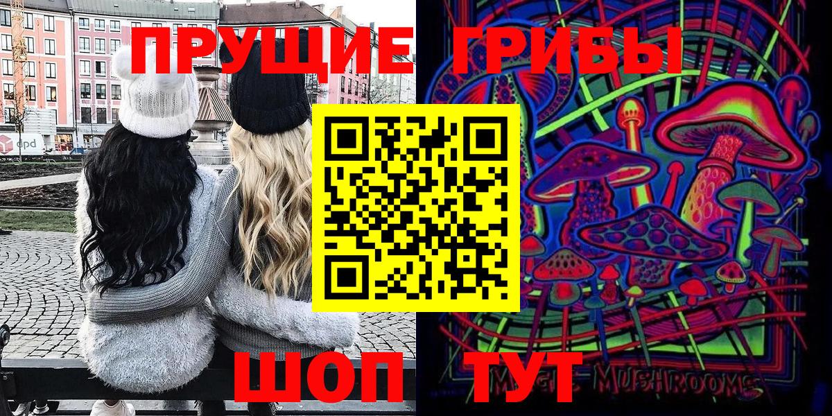 купить закладку  Заволжье  Псилоцибиновые грибы Cubensis 