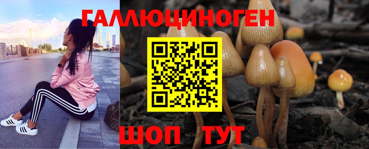 Псилоцибиновые грибы прущие грибы Заволжье