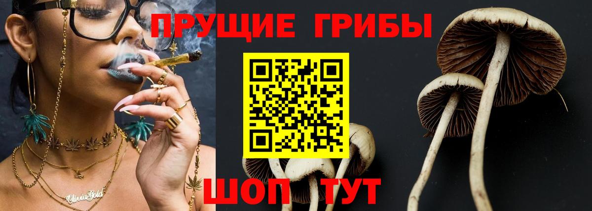Галлюциногенные грибы GOLDEN TEACHER  Вход с VPN  Заволжье 